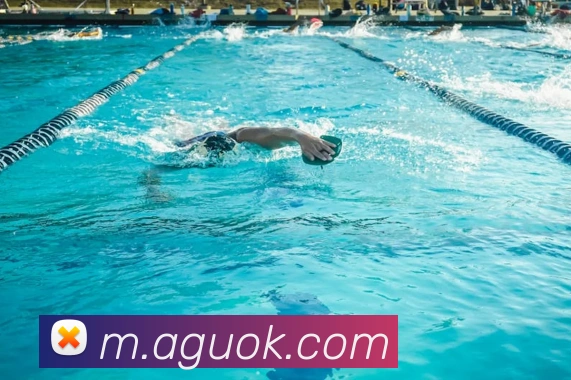 App Interface Preview